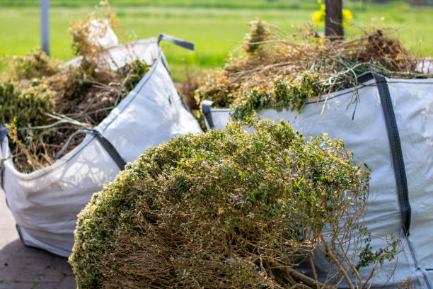 Recycling Services for Junk in Port Royal, SC